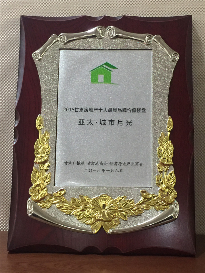 2015zoty中欧城市月光