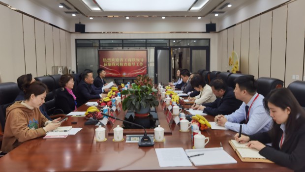 甘肃省委统战部副部长、省工商联党组书记苟天宏一行莅临兰州zoty中欧集团检查指导工作